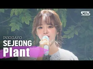 [Official sb1] SEJEONG (Se Jeong)-Plant Inkigayo inkigayo 20200322  .   