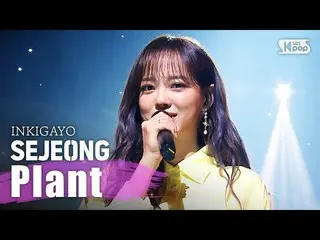 [Official sb1] SEJEONG (Se Jeong)-Plant pot Inkigayo inkigayo 20200329  .   