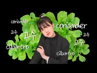 [Jt Official] CLC, _ [ENG] I'm not good at eating coriander 🌿 (TBH..I do not li