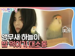 [Official sbe]   "Intense first encounter" Lee SunBin_ , Aum "Affair ♨ ㅣ My Fant