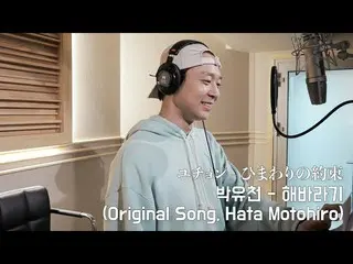 YUCHUN (former JYJ) covers the theme song "Himawari no Yakusoku" (Motohiro Hata)