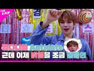 [Official sbp]   [Celebrating live 4K] Kang Daniel _   Antidote By the way, add 