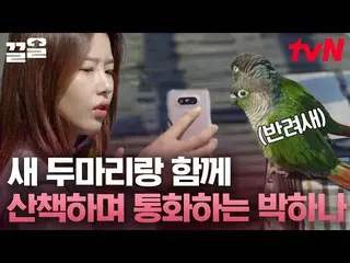 [Officialtvn] Climbing the mountain with the birds so I won't feel lonely! Park 