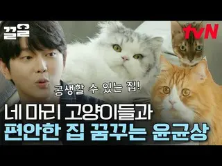 [Official tvn]  Yun KyunSang_ , a gang butler who loves cats, reborn in a space 