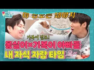 [Official sbe]  Kim Hee-chul × Choi JinHyuk_ , ups and downs × Yumemi is daddy's