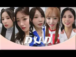 [Official] Apink, 13th year idol's polyphonic live ㅣApink 'DN D' (Douikajutsu Ve