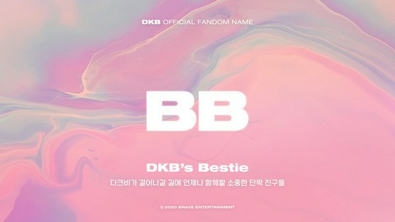 Boys group "DKB" announced the fandom name: "BB"