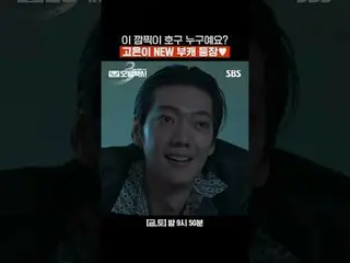 Who is this cute hog? Go Eun is the new hog ♥
 #Lee Je Hoon_  #Kim Ui Sung #Pyo 