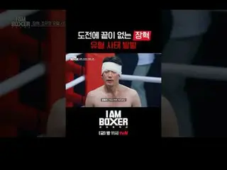 Real-time streaming with tvbing:

 Super Blockbuster Boxing Survival 🥊IM Boxer�