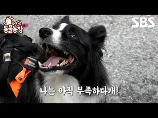 #Shin Dong-yup #Jeon SoNee (Jeon Sung-hee)_  #Tony Ahn (HOT)_  #JOY
 #SBS Educat