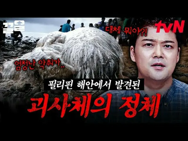 Stream on your TV: #tvN #FreeHand19 tvN Legend Variety Raises Up ～ Up ↗↗ Free19 