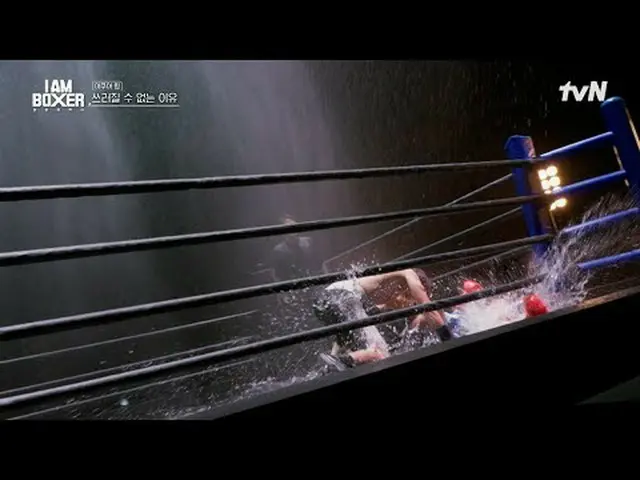 #IM(MONSTA X)_ Boxer #Ma Dong Seok_  #Kim Jung Kook _  #DEXIM Boxer EP.4 Global 
