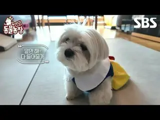 #Shin Dong-yup #Jeon SoNee (Jeon Sung-hee)_  #Tony Ahn (HOT)_  #JOY
 #SBS Educat