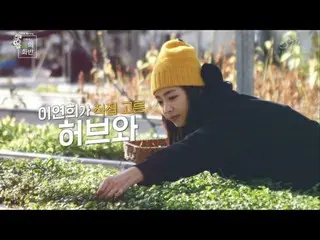 【📺】 【📢 SM】 Lee Yeon Hee's Spring Bibimbap (Flower Bibimbob) _Teaser #2   
