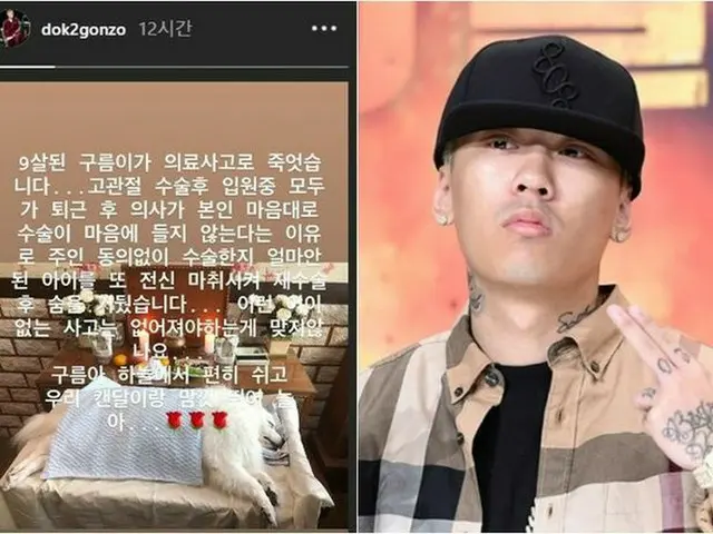 Rappers Dok 2, lost pet dog in a medical accident. The veterinarian did not cons