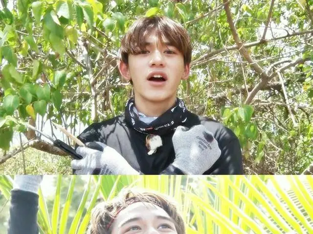 WEKI MEKI Do Yeong NCT Lucas, "Jungle's Law" still cut.