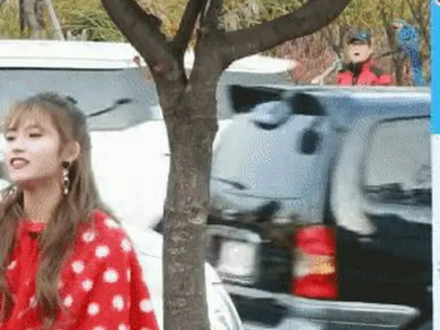 The mysterious Ajoshi appears in the back of TWICE mini Fan Meeting. A bird on a