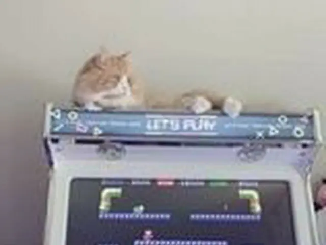 Actor Yun KyunSang, "The Evidence of Love Affair Rumors" is a Hot Topic. . A pho