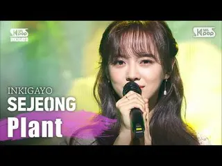 [Official sb1] SEJEONG (Se Jeong)-Plant pot Inkigayo inkigayo 20200405  .   