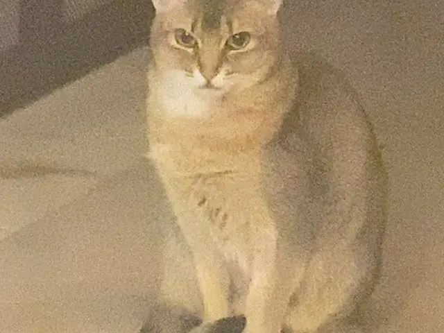 [G Official] WANNA ONE_ former member Kang Daniel, I'm watching you HUMAN😶  #ki