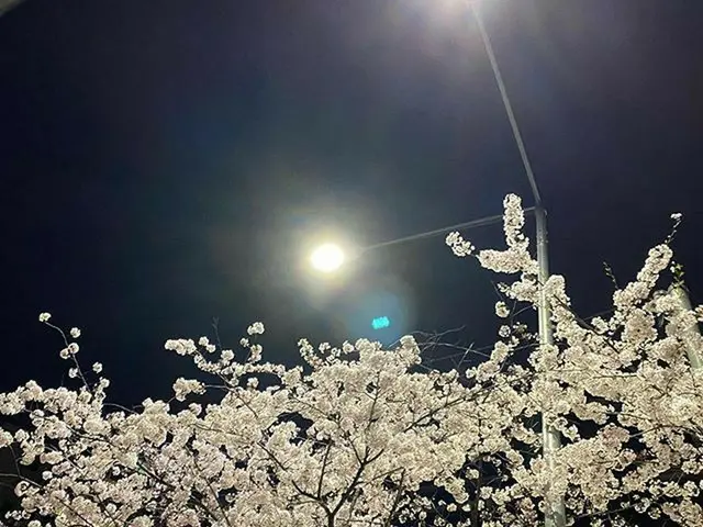 [G Official] BLACKPINK_ JENNIE (Jennie), New post  .   