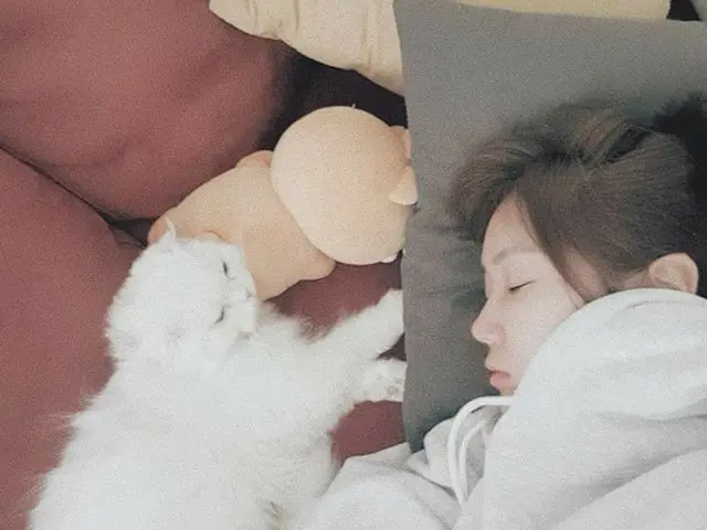 [G Official] SISTAR_ former member SOYOU, 🐈😴  .   