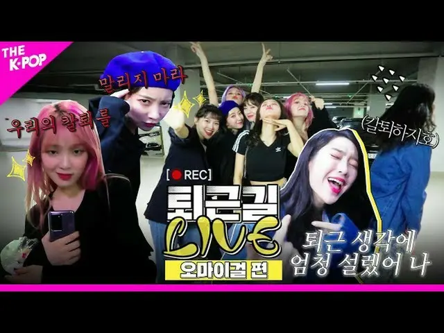 [T Official] OHMYGIRL, [Living after work] Thinking about leaving work "lightly"