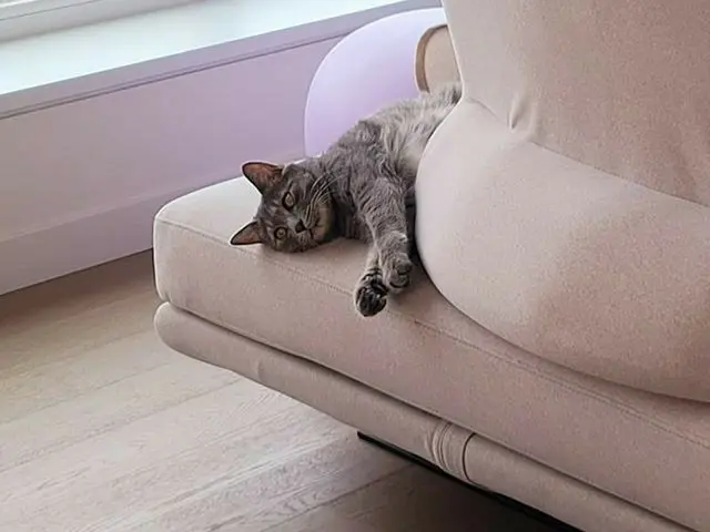 [G Official] SNSD (Girls' Generation) Sunny, I'm thinking meow. Why? because I'm
