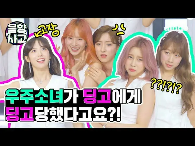 [Official din] If WJSN dances butterfly dance, Dingo will do Dingo 🎶 ㅣ Dingo Mu