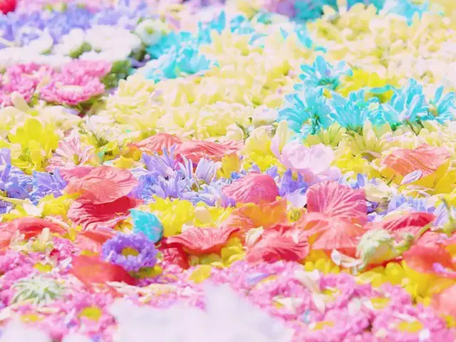 [D Official mnh] RT CHUNGHA_MNHent: CHUNG HA Pre-Release Single #2  2020. 07. 06