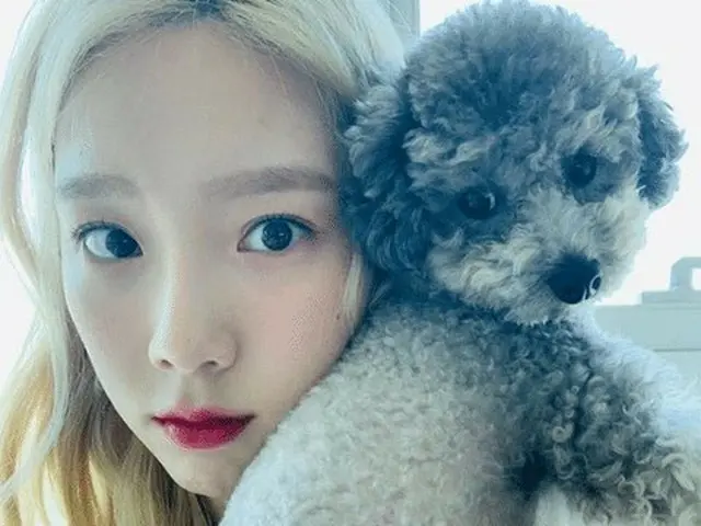 #SNSD(Girls' Generation) Tae Yeon's pet dog "Zero" goods, "Popular than Tae Yeon