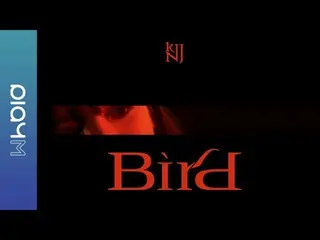 [Official] Apink, Kim Nam JOO (Kim Nam Ju) 1st Single Album [Bird] Concept Film 