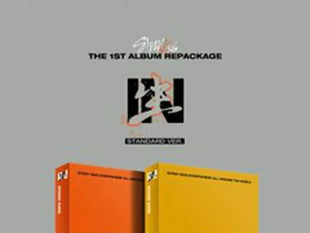 [D Official jyp] Stray Kids <IN生> STANDARD ver.  ALBUM DETAIL PREVIEW  2020.09.1