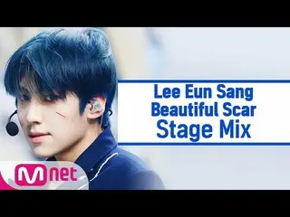 [Official mnk] [Cross edit] Lee Eun Sang - Beautiful Scar (Lee Eun Sang StageMix