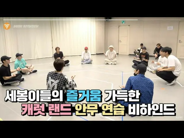 [Official] SEVENTEEN, [INSIDE SEVENTEEN] 2020 SVT 4th FAN MEETING<SEVENTEEN in  