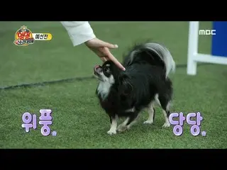 [Official mbe]   [2020 Idol Dog Championship] LOVELYZ_  Jisoo and Rocket & Space