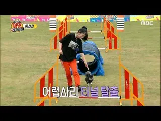 [Official mbe] [2020 Idol Dog Championship] [Article 3 Qualifying] LOVELYZ Jisoo