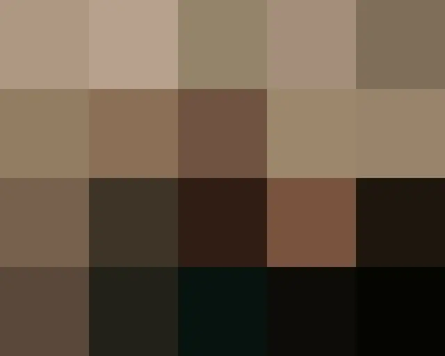 Sayuri (Sayuri Fujita) donates 10 million won from YouTube to the baby stork bus