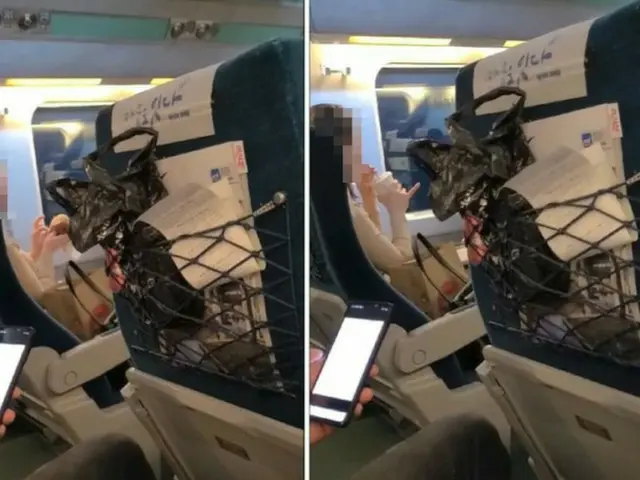 A woman chewing on a hamburger in a KTX car is controversial. In South Korea, ea