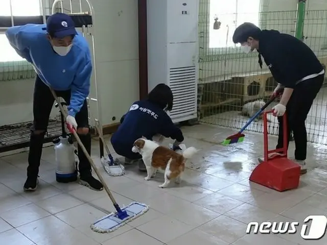 Lee Jeong Shin (CNBLUE), Hot Topic in Korea, volunteering at an animal shelter. 