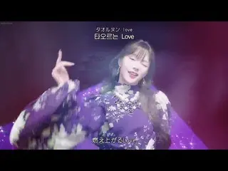 [Japanese Sub] 【Japanese Sub】 Woo! ah! (Woo! Ah! _ ) --Purple ..  