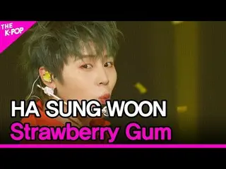 [Official sbp]  HASUNG WOON, Strawberry Gum (Feat. Don Mills) (Ha Seong Woon (HO