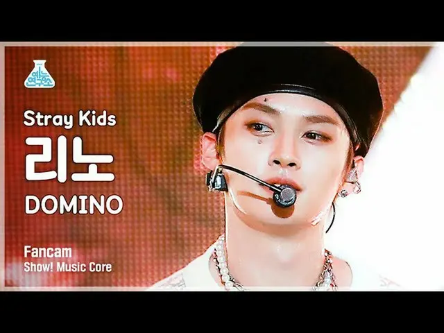 [Official mbk] [Entertainment Research Institute 4K] Stray Kids_ Reno Fan Cam "D