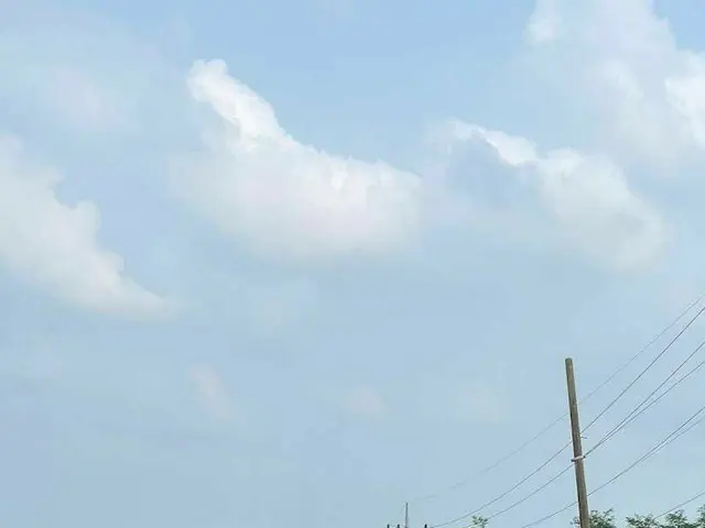 [JT Official] SEVENTEEN, RT pledis_17: [17'S Dino] 📸 ..