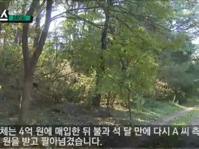 The news screen shot of the land which Tae Yeon (SNSD (Girls' Generation)) wasscammed for 1.1 billio