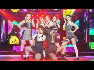 [Official sbe]  Theme dollar PURPLE KISS_  Addictive stage! "INTRO + ZOMBIE" | S