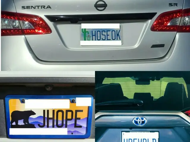 American _ "BTS" _ fans, the enthusiasm to color the license plate of the car wi