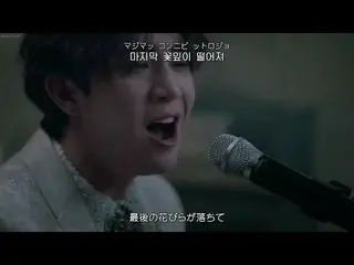 [Japanese Sub] [Japanese Subtitles & Lyrics & Kana] The Rose --Beauty and the BE