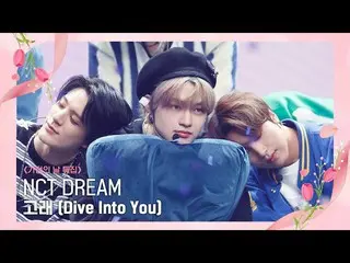 [Official mnk] [NCT _ _ DREAM_ _  --DIVE Into You] Family Month'Special | #M COU