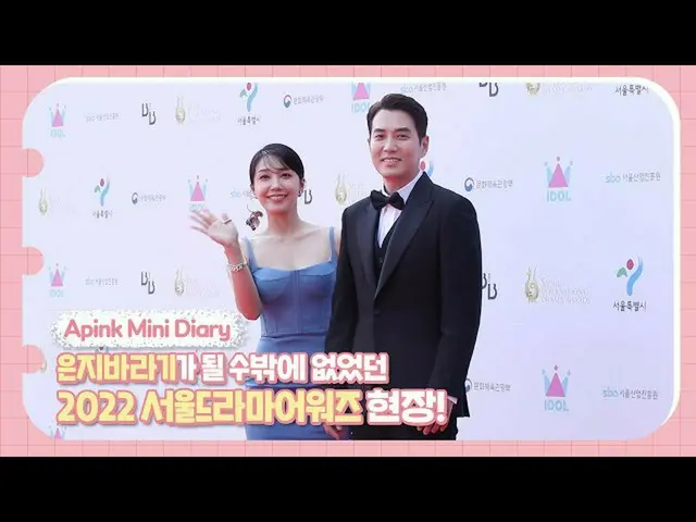 [Official] Apink, Apink Mini DIAry - The 2022 Seoul TV Series Awards scene that 